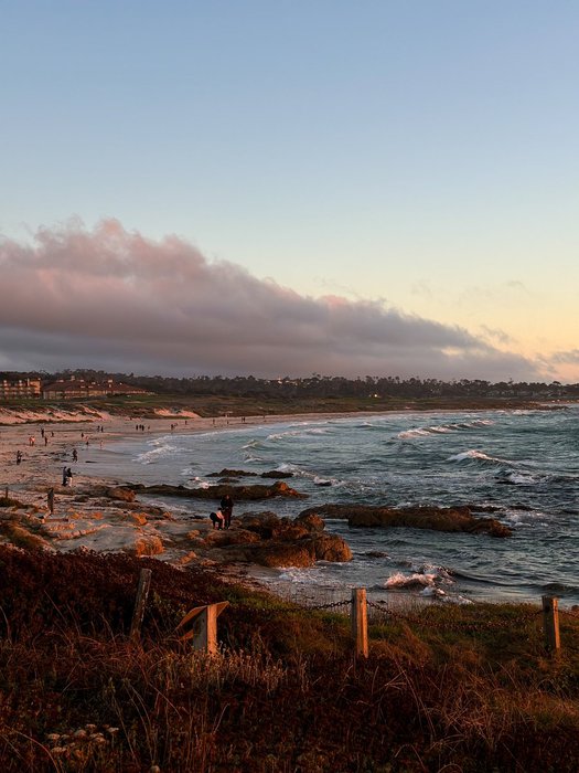 Thumbnail of www-x-com-mariyaivasileva-status-1826022887624695815-e11cbd29b47e4d31