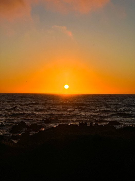 Thumbnail of www-x-com-mariyaivasileva-status-1826022887624695815-e11cbd29b47e4d31