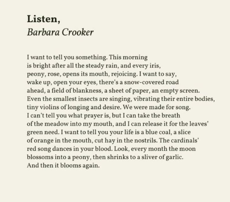 Thumbnail of www-x-com-writeracmchugh-status-1784740778037714995-e19418c4dcbc4631