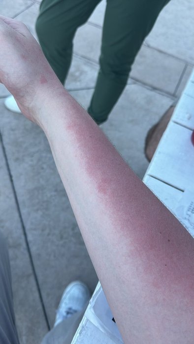 Thumbnail of www-x-com-w-b-rick-status-1794812375998365744-e2319e0a43f24e5f