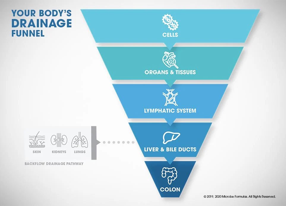 Thumbnail of www-x-com-bioavailablend-status-1828122348123496886-e30c6721e8ed406d