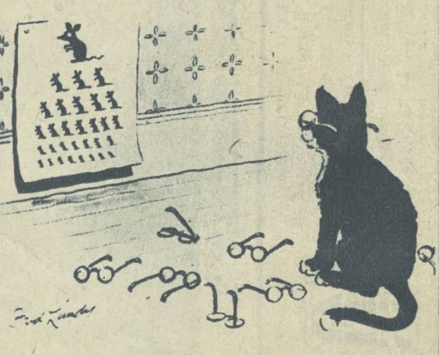 Thumbnail of www-x-com-fizzfug-status-1866385241486577869-e70750941d8d48c2