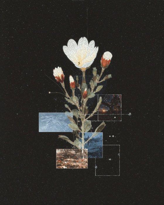 Thumbnail of www-x-com-joneural-status-1963048351852556467-ed8109bbf0fe4152