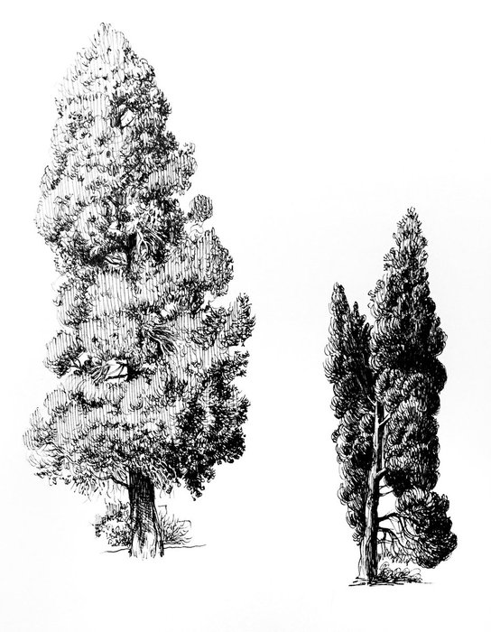 Thumbnail of www-x-com-paulheaston-status-1320937422528495616-f01c26ecd6004e91