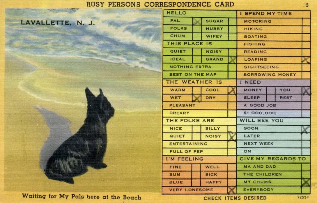 Thumbnail of www-x-com-em-bers-status-1701296293597851823-f061eafd47ae486c