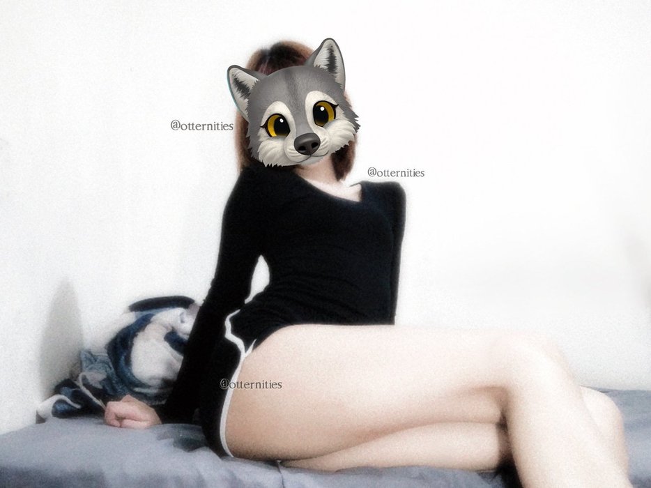 Thumbnail of www-x-com-otternities-status-1856857977472598467-f14776f26f1f45a6