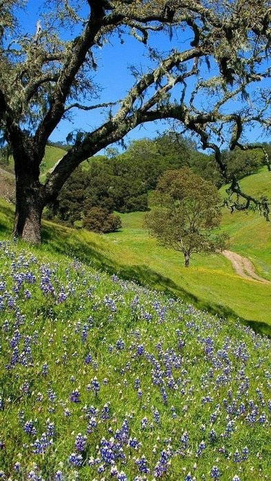 Thumbnail of www-x-com-greendreamvibes-status-1886062399393874218-f45efbe3ce814fdb