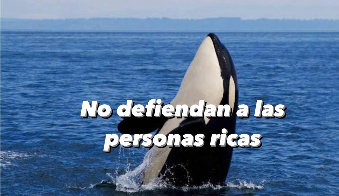 Thumbnail of www-x-com-les-iju-status-1755416975411413358-f56ab79b63ef421e