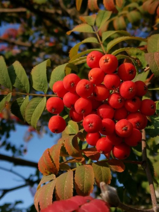 Thumbnail of www-x-com-bioavailablend-status-1830705736453681220-f61df7c089d24e48