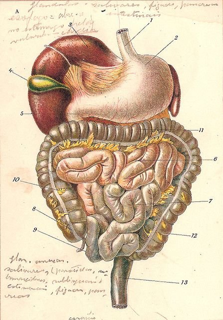 Thumbnail of www-x-com-bensmithlive-status-1773299716031164568-f7d00927c34d46bc