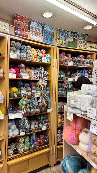 Thumbnail of www-x-com-yok2tog-status-1863119548767174709-fa9de4e45df54817