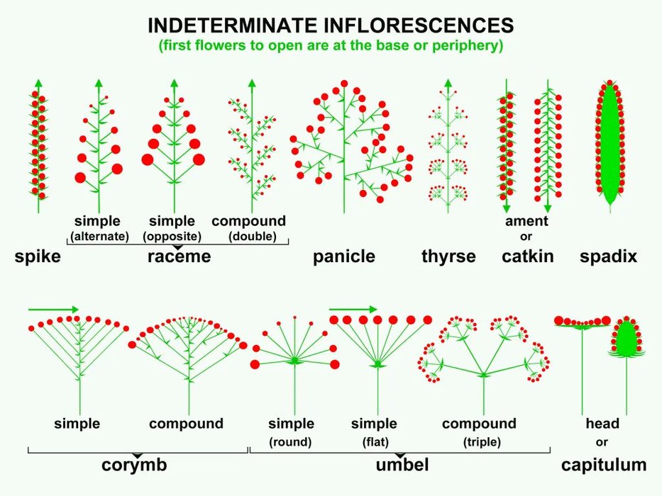 Thumbnail of www-x-com-poetengineer-status-1865520851795472527-fae26dfee0fe4b78