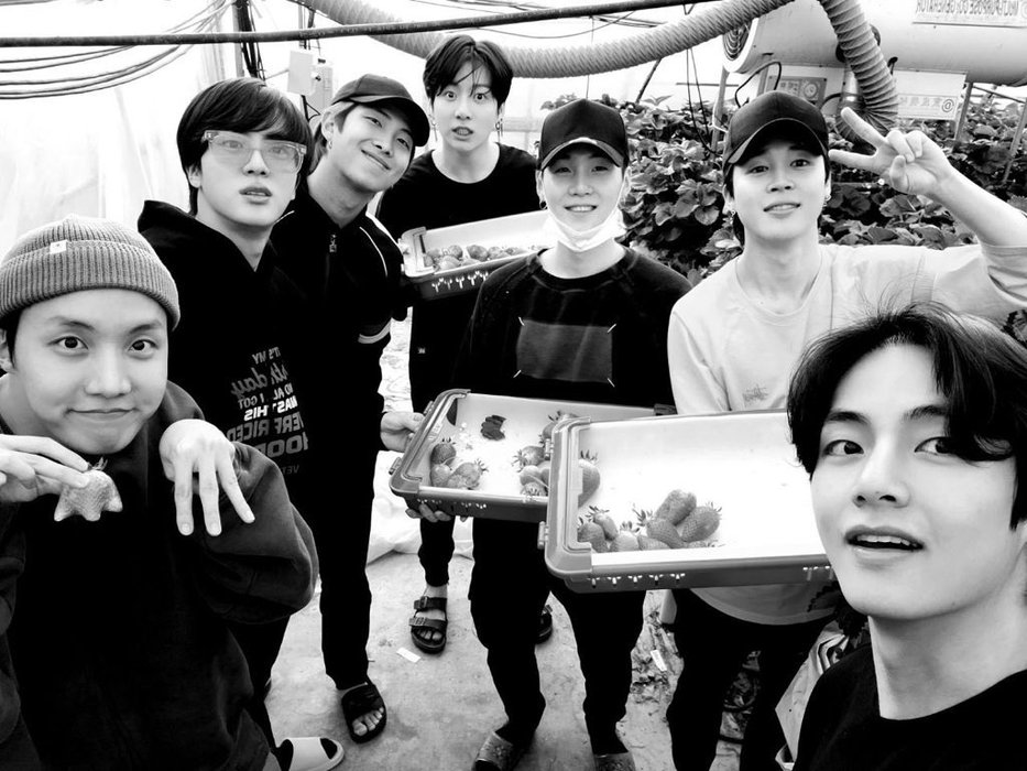 Thumbnail of www-x-com-cesstwt-status-1536706227472056320-fb2a45f854284d60