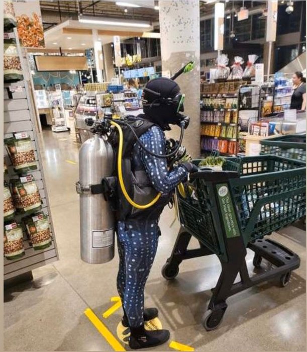 Thumbnail of www-x-com-octonion-status-1246804921602772992-fbb1d3d2e34c421d