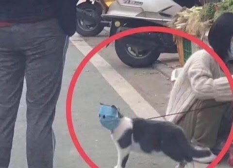 Thumbnail of www-x-com-octonion-status-1246804921602772992-fbb1d3d2e34c421d