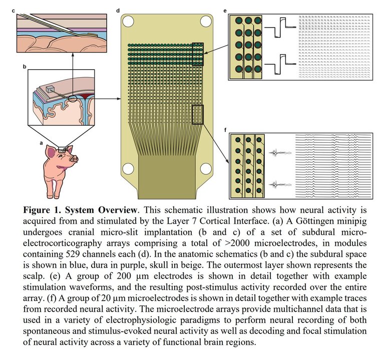 Thumbnail of www-x-com-gottapatchemall-status-1478403056475590658-fbdd808edb7b4ddd