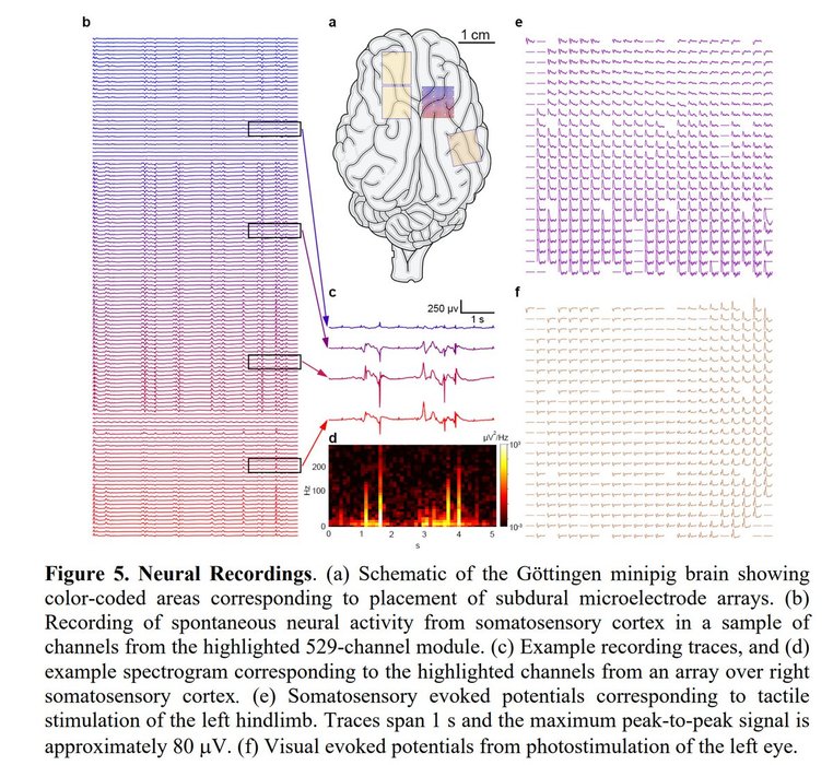 Thumbnail of www-x-com-gottapatchemall-status-1478403056475590658-fbdd808edb7b4ddd