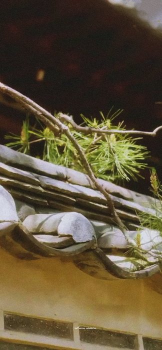 Thumbnail of www-x-com-return-season-status-1658844325814435841-fbee647efbd94a6e