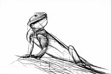 Thumbnail of www-x-com-fredodurand-status-1507349797035986950-fc3547d5b61d475e