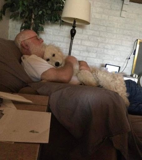 Thumbnail of www-x-com-contextdogs-status-1869986090876047785-fc80d0426d25423c