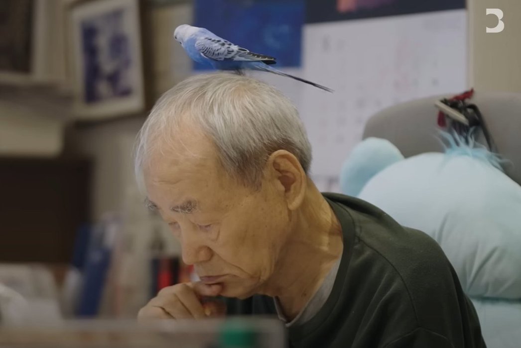 Thumbnail of www-x-com-josephsbool-status-1827092717832433682-fd0cf951a2c04b33