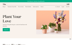 Thumbnail of The Sill | Official Site | Houseplant Delivery & Plant Care