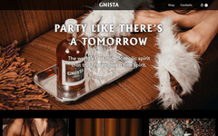 Thumbnail of Gnista