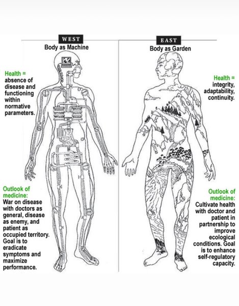 Preview of 03fa6a53-jpeg