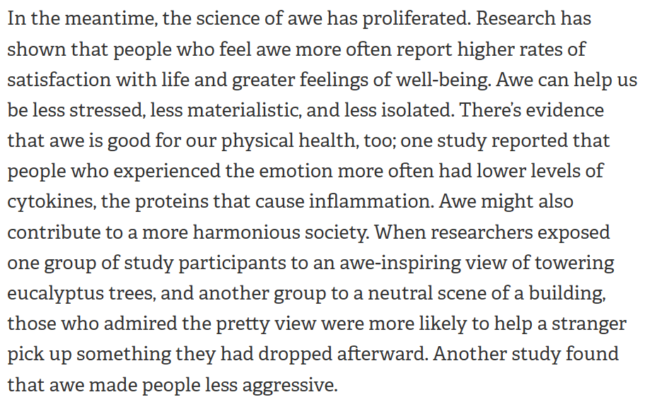 Thumbnail of Why You Should Seek More Awe in the New Year - The Blog of Author Tim Ferriss