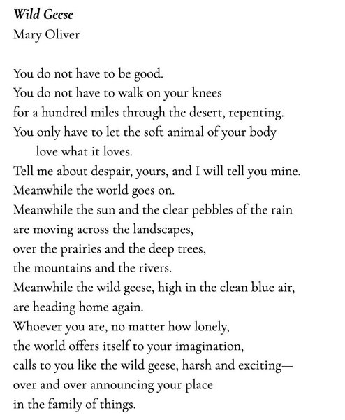 Preview of 1745-jpeg