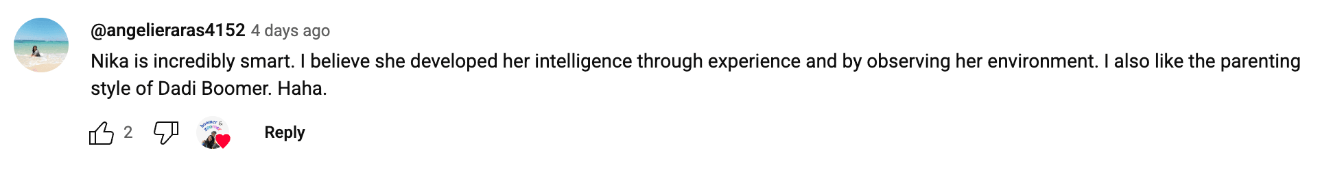 Preview of 35658pm-png