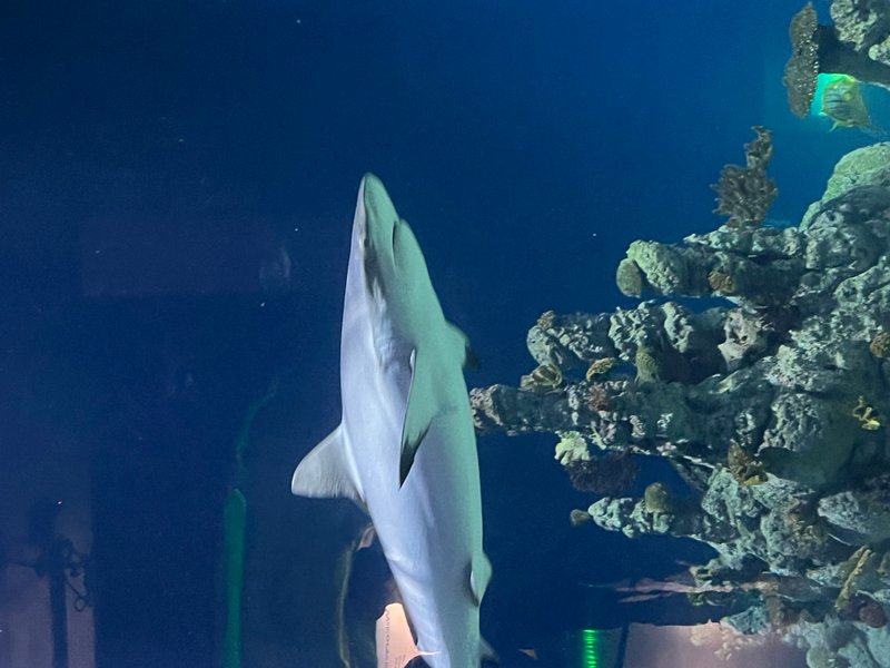 Preview of 3869-jpeg-440d02c97ea6444b