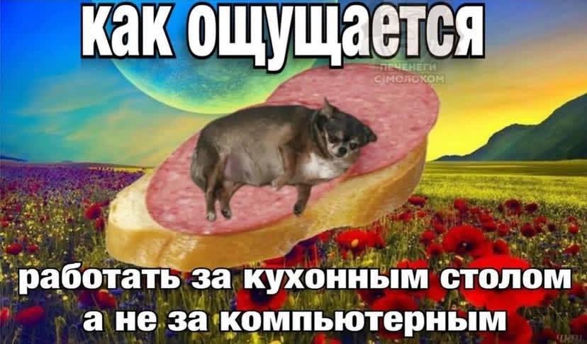Preview of b4bca7ce7a9e4f3f03c7cd1930d7bd4e79868be936a1d0094588e12d9725a357-png