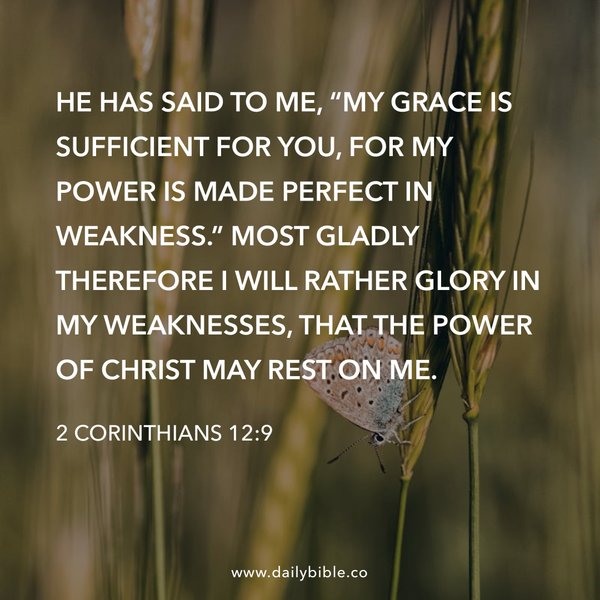 Preview of a78b9ad49dca-jpg