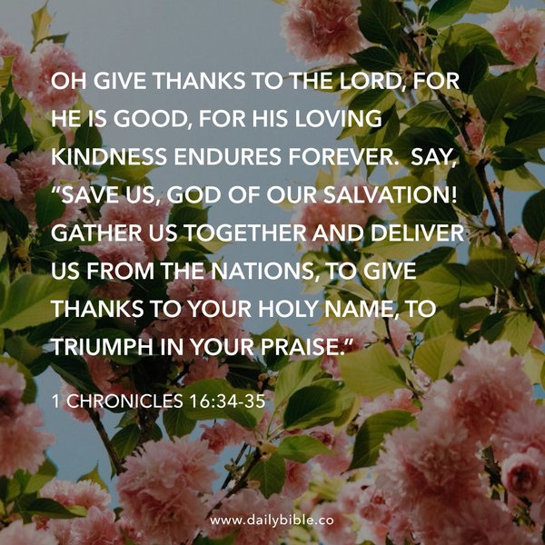 Preview of bbc6bf406fa7-jpg