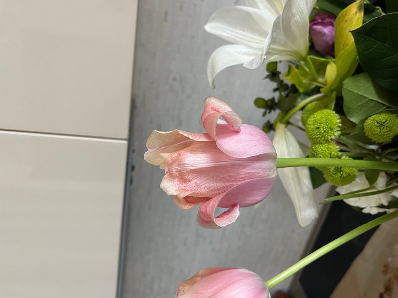 Preview of 06226ece79f7-jpeg