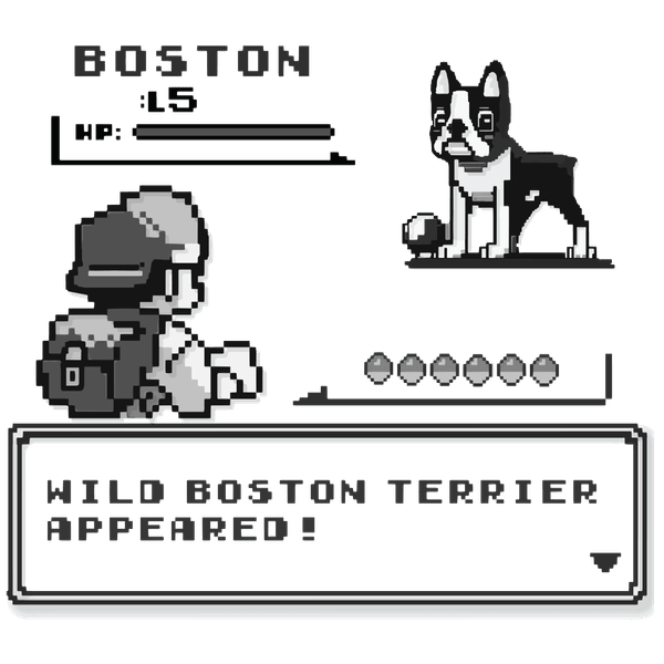 Preview of boston-png