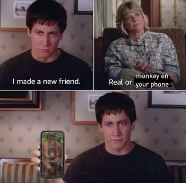 Preview of 1455-jpeg