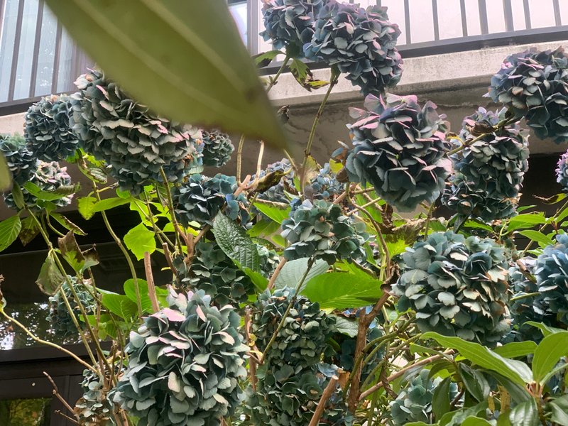 Preview of 5124-jpeg-cf1350f63360405e