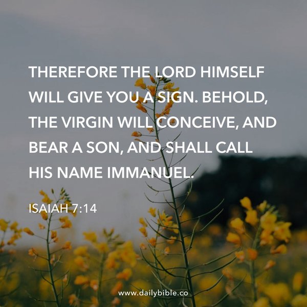 Preview of 9bc3f2d2eaab-jpg