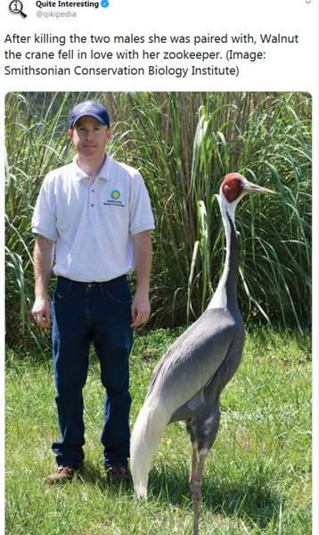 Preview of 6322-jpeg-077aacd1da5042e6