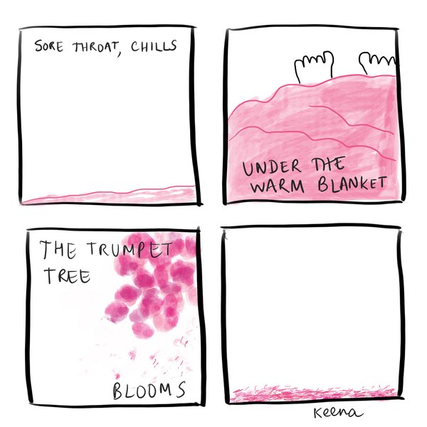 Preview of tree-jpg