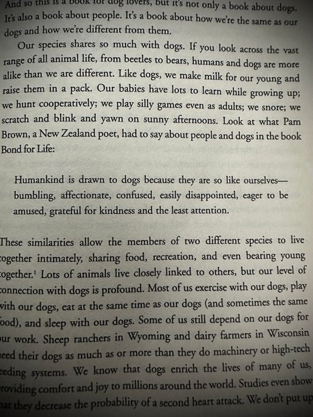 Preview of b8a9e89dba76-jpg