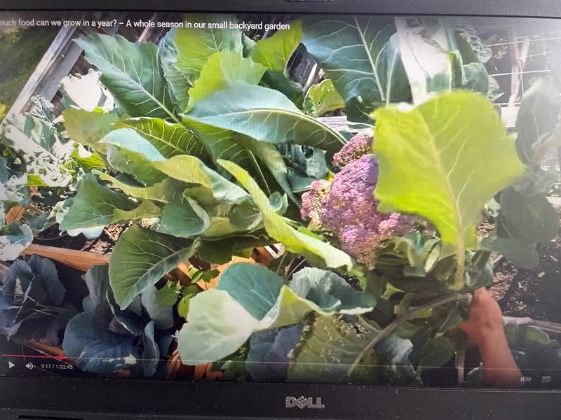 Preview of image-jpeg-9b214c4d0d9949c2