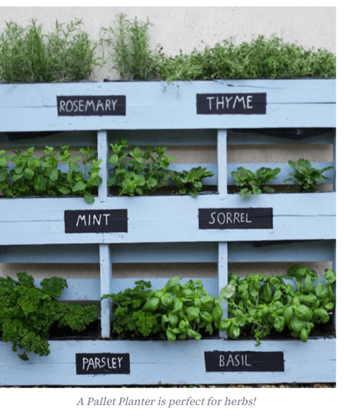 Thumbnail of How to Plan a Vertical Garden: Space-Saving Tips & Design Ideas