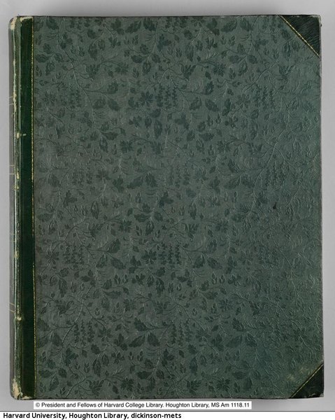 Preview of dickinson-jpeg