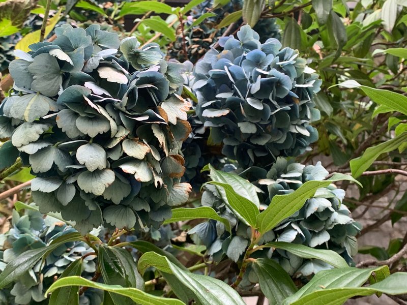 Preview of 5125-jpeg-ada1dbb849ff4195