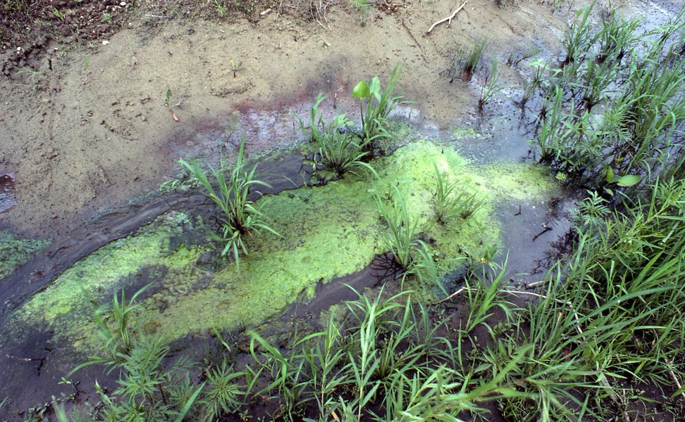 Preview of tldrawfile-bab1a22ce93c4ba5