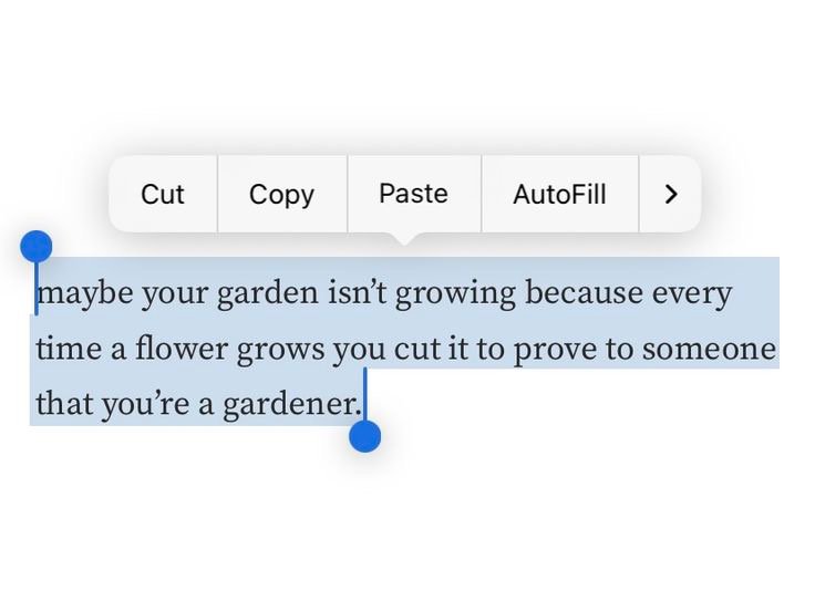 Preview of 8486-jpeg