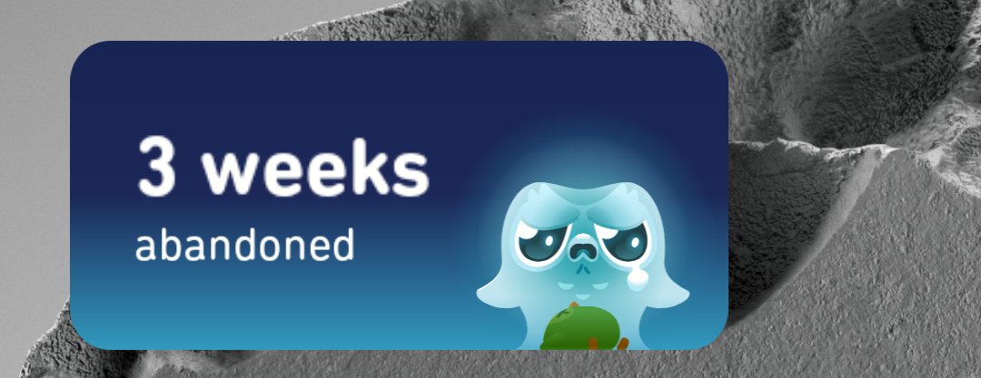 Preview of 113008-png